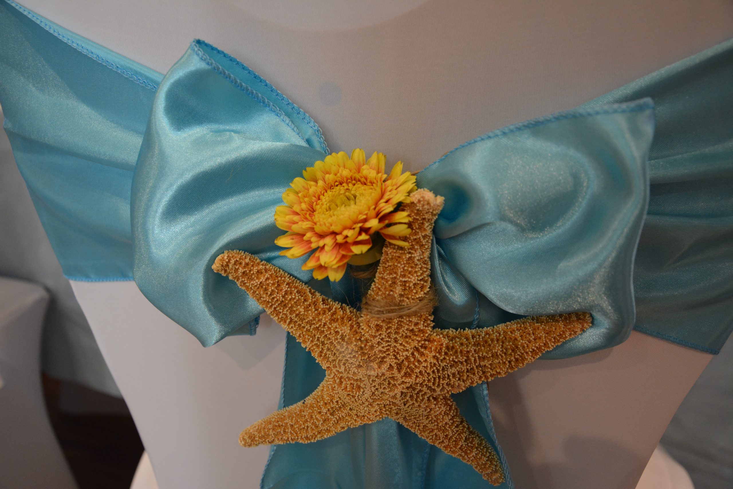 Strand Thema_Stuhlhussen